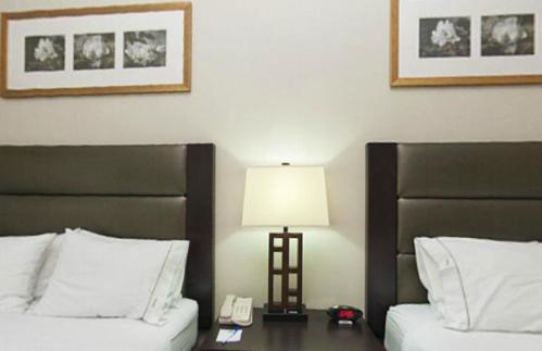 Holiday Inn Express Hotel & Suites Ottawa Airport By Ihg Oda fotoğraf